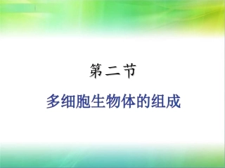 多细胞生物体的组成