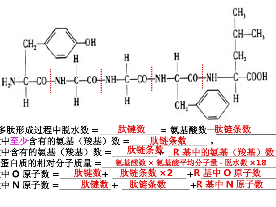 遗传信息携带者——核酸PPT_第2页