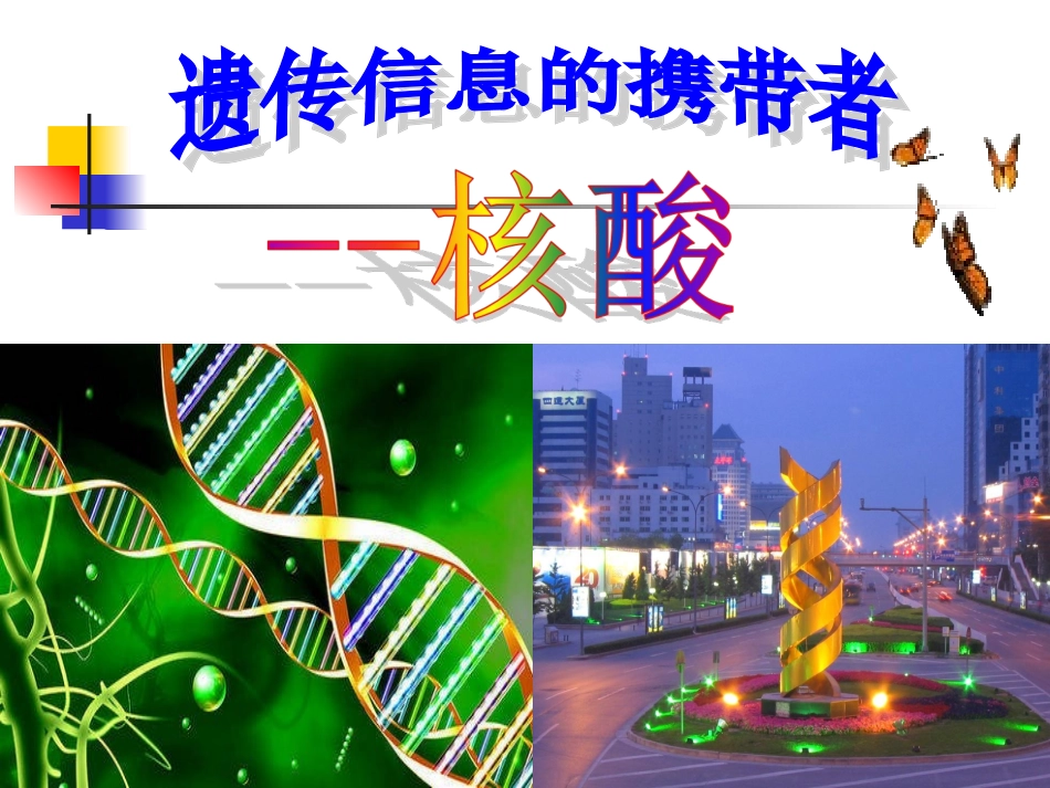 遗传信息携带者——核酸PPT_第3页