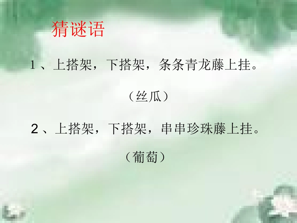 《爬山虎的脚》_第1页