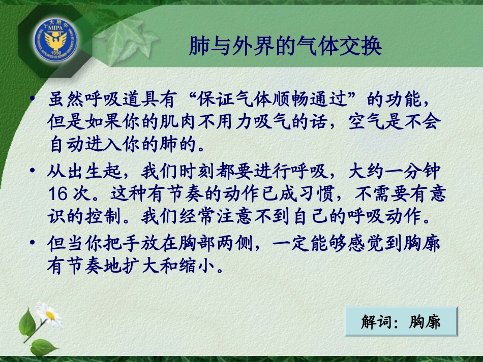 发生在肺内的气体交换_第3页