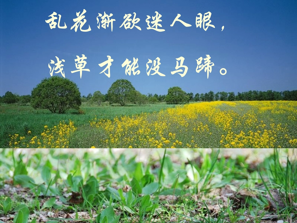 大自然的语言PPT_第2页