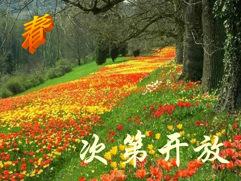 大自然的语言PPT_第3页