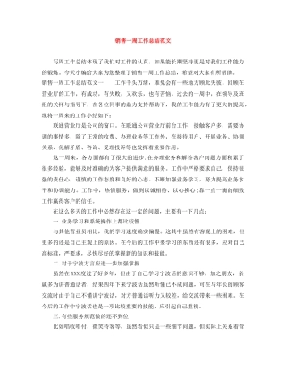 销售一周工作总结范文 