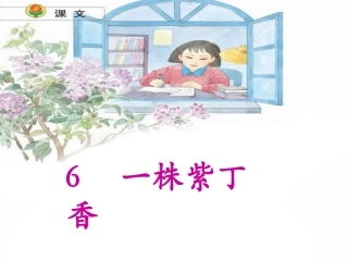 《一株紫丁香》课件
