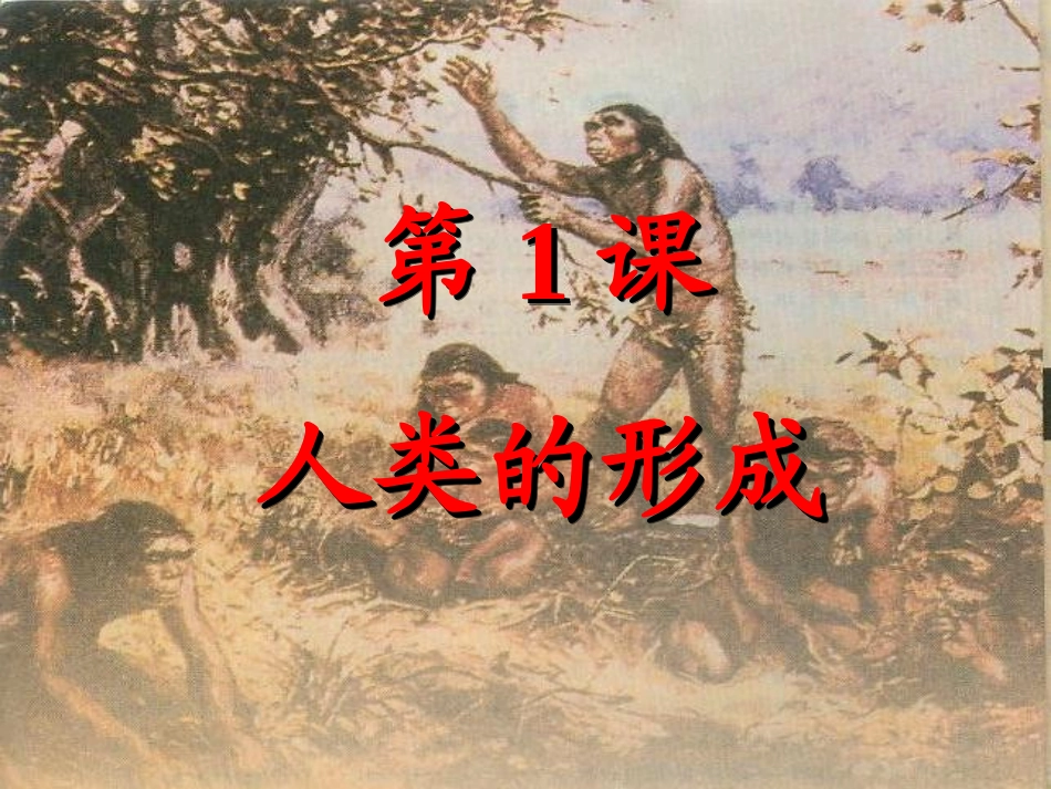 九年级历史上册第1课人类的形成课件_第1页