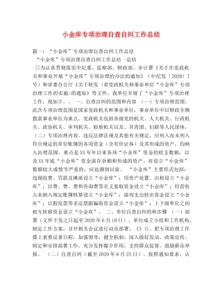 小金库专项治理自查自纠工作总结 