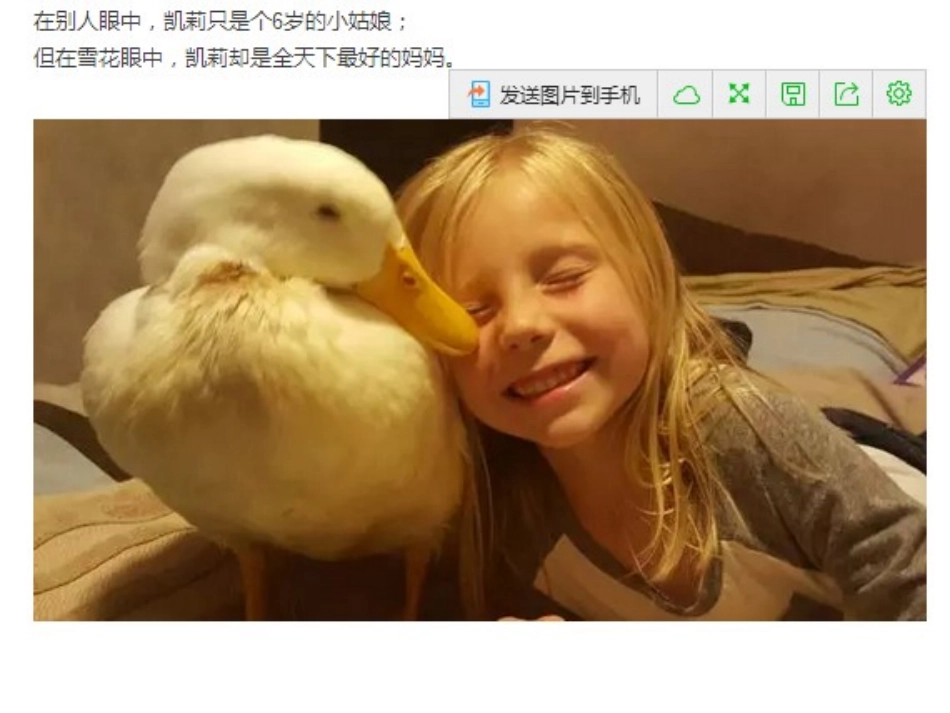 岁女孩与鸭子的故事_第2页