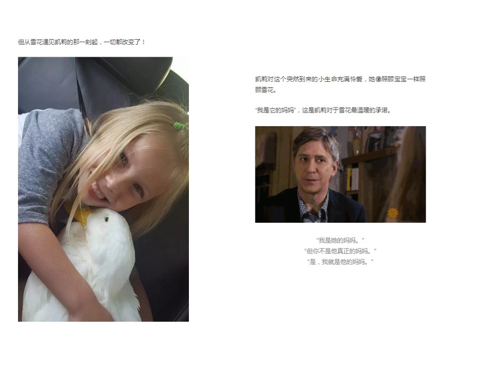 岁女孩与鸭子的故事_第3页