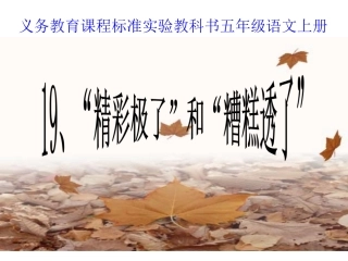 精彩极了和糟糕透了 (4)