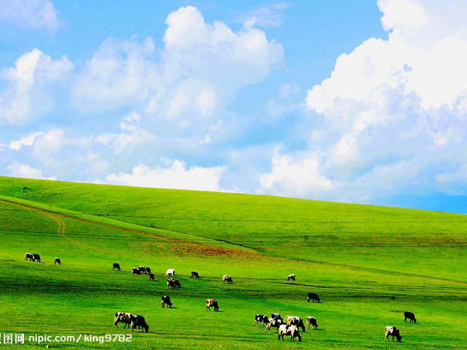 草原第一课时 (2)_第2页