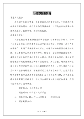 马原实践报告