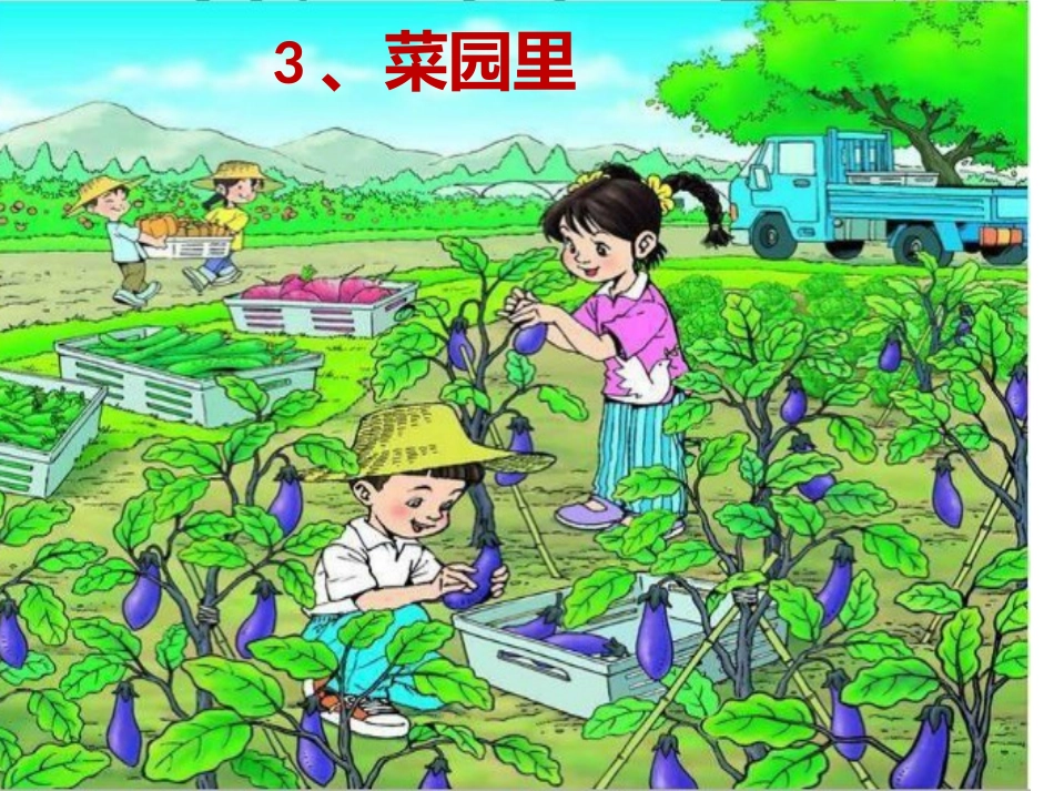 人教版小学语文一年级上册《菜园里》课件_第2页