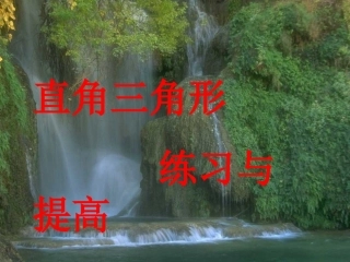 直角三角形练习与提高