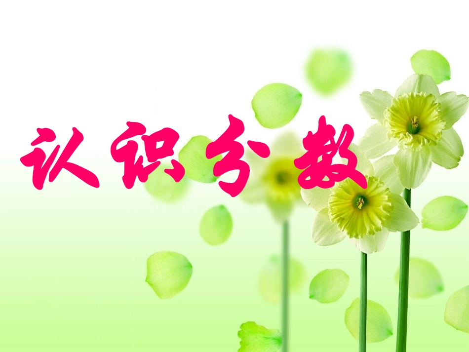 课件《认识分数》_第1页