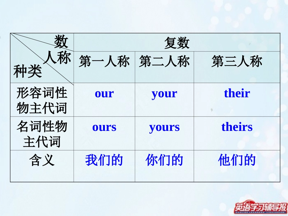 物主代词讲解及练习_第2页