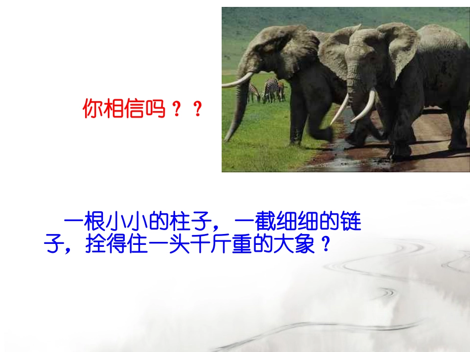 行为习惯养成主题班会[1]_第2页