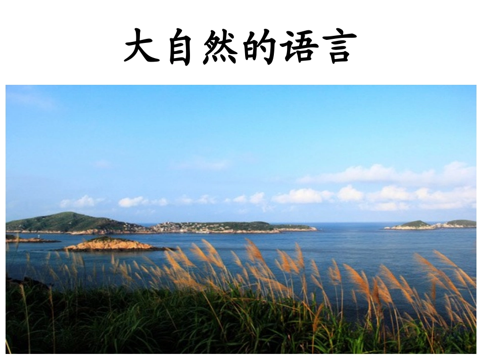 大自然的语言 (3)_第1页