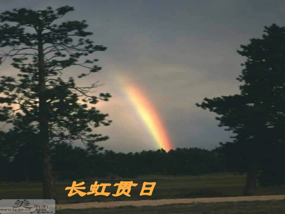 假如没有灰尘PPT课件修改版_第3页