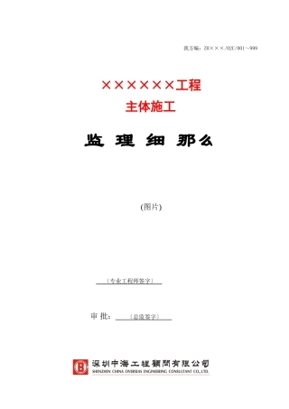 主体施工工程监理细则
