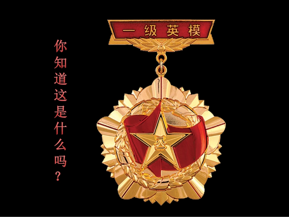 浙美版二上册光荣的奖章_第2页