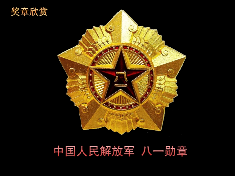 浙美版二上册光荣的奖章_第3页