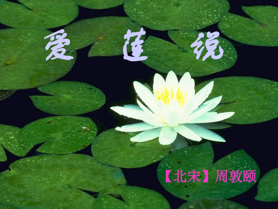 《爱莲说》课件_第1页