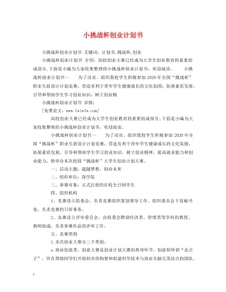 小挑战杯创业计划书 
