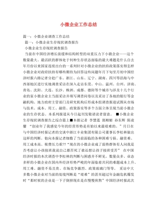 小微企业工作总结 