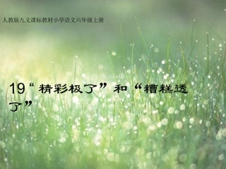 《精彩极了和糟糕透了》课件