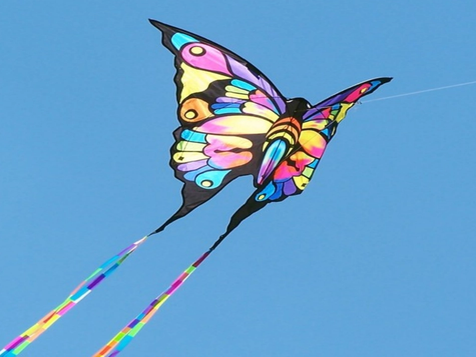 贾平凹《风筝》课件_第2页