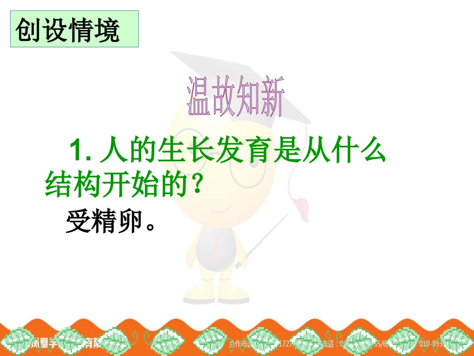 第三节植物体的结构层次-课件_第2页