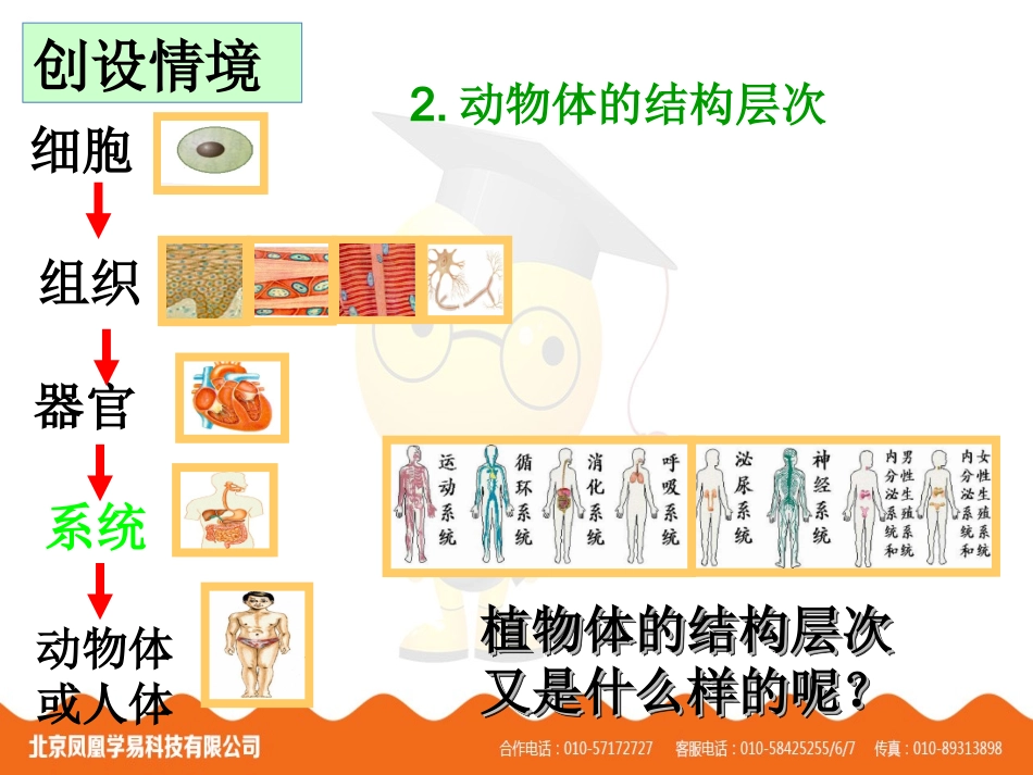 第三节植物体的结构层次-课件_第3页