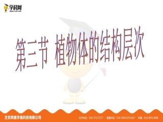 第三节植物体的结构层次-课件