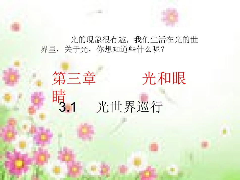 光世界巡行1_第3页