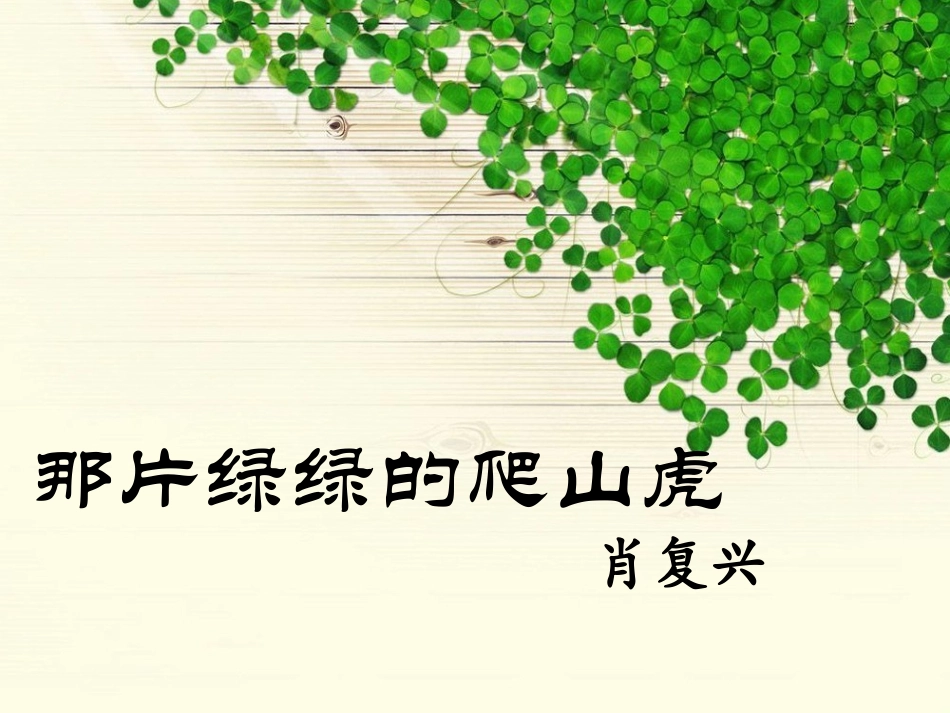 《那片绿绿的爬山虎》课件1_第1页
