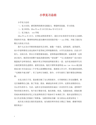 小学见习总结 