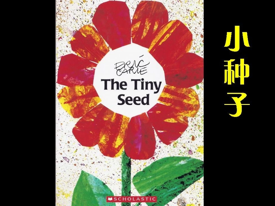 绘本《小种子》_第1页