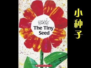 绘本《小种子》