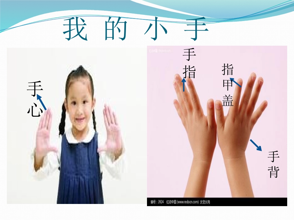 我的小手真能干_第2页