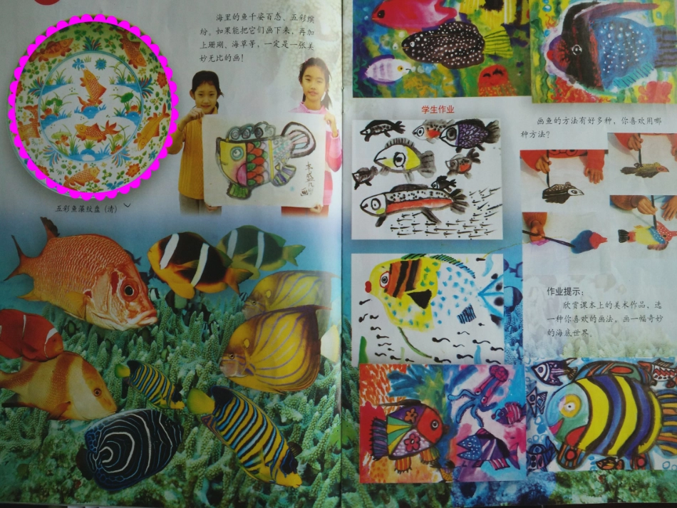 《用彩墨画鱼》PPT_第2页