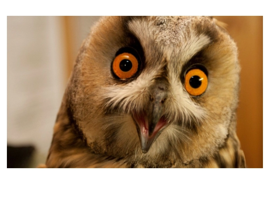 圆圆的东西PPT_第3页