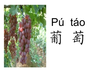 人教版语文二上17《酸的和甜的》课件(5)