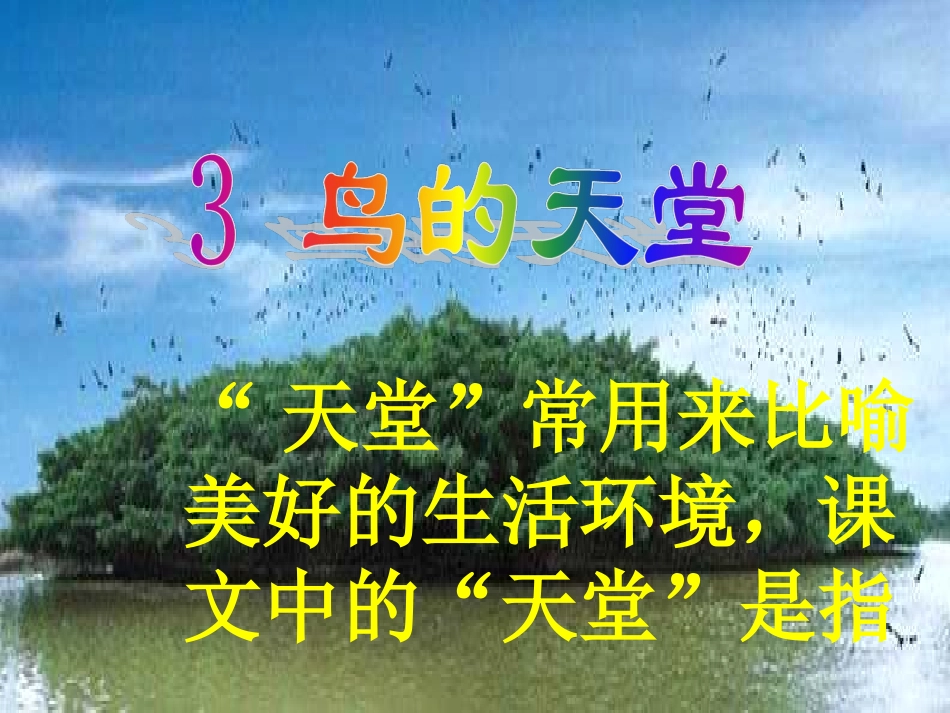 鸟的天堂讲课_第1页