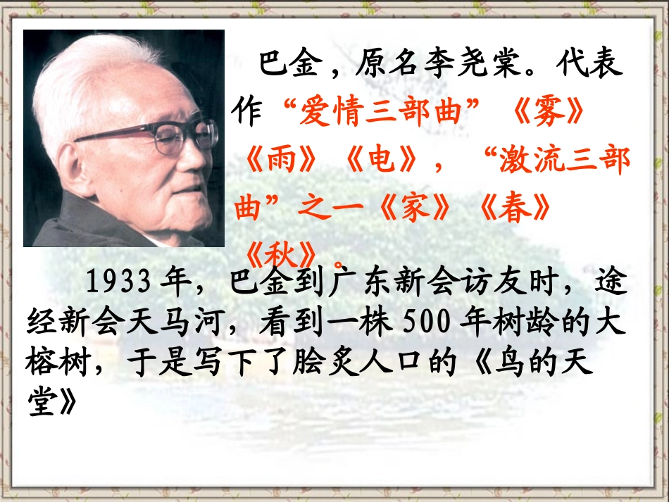 鸟的天堂讲课_第2页