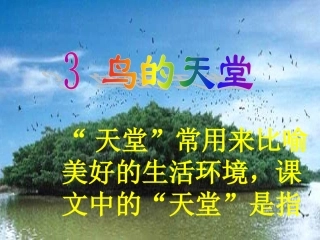 鸟的天堂讲课
