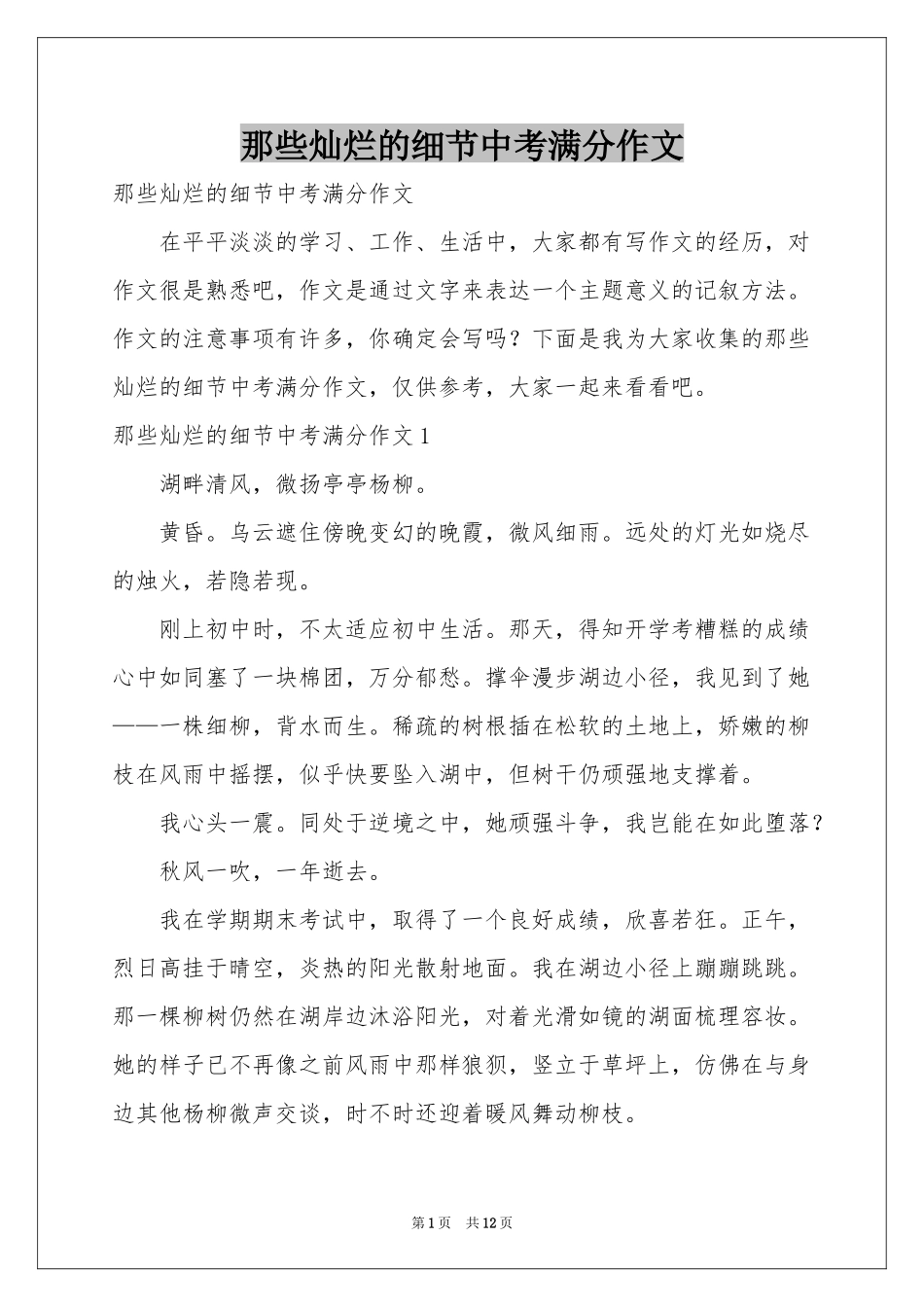 那些灿烂的细节中考满分作文_第1页