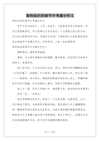 那些灿烂的细节中考满分作文