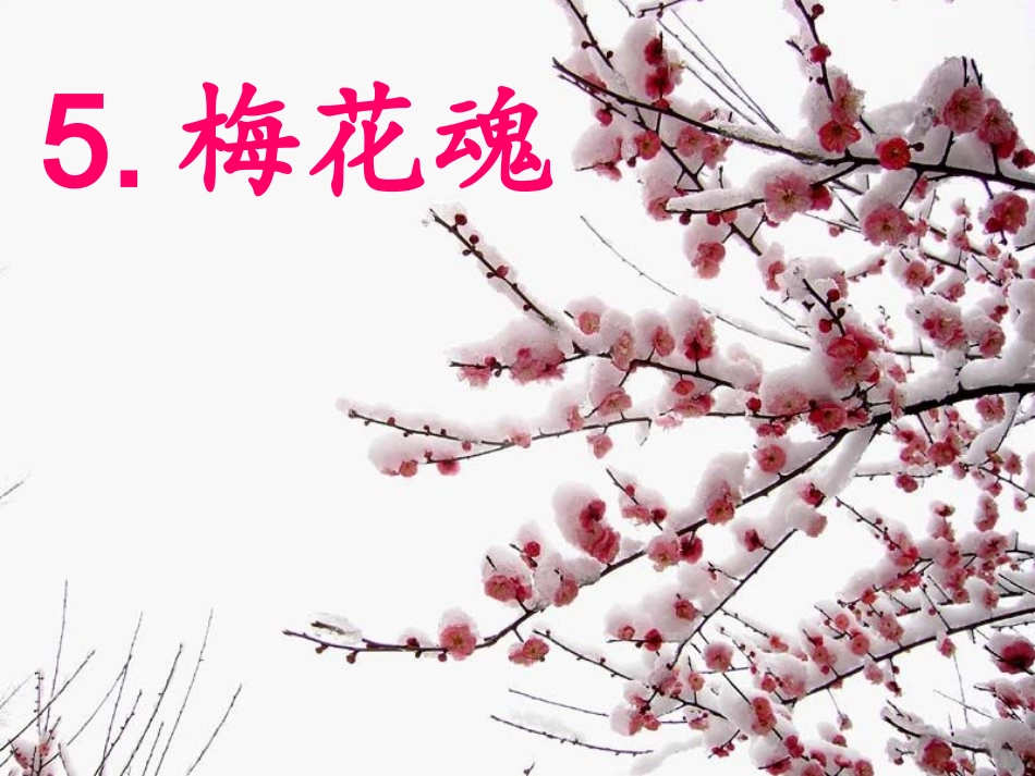 梅花魂(完美版)_第1页