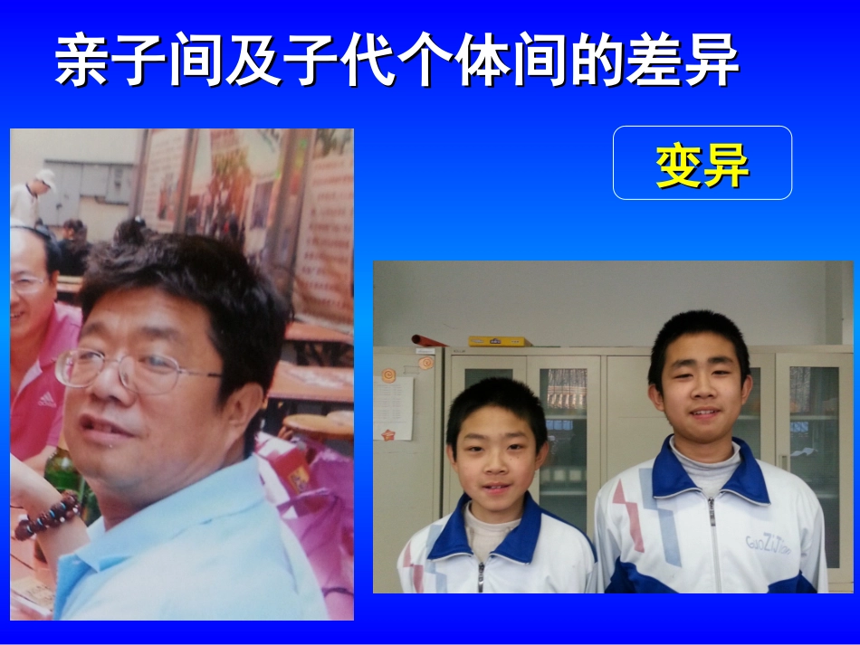 基因控制性状_第2页